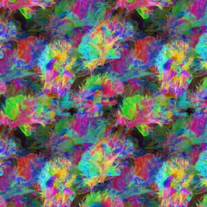 Brain Neurons 24