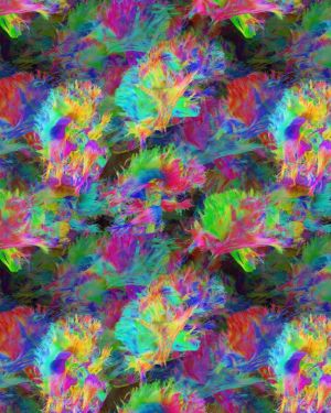 Brain Neurons 24