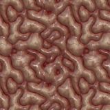Brains-22.jpg