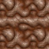 Brains-23.jpg