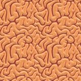 Brains-24.jpg