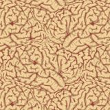 Brains-26.jpg