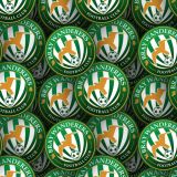 Bray-Wanderers-FC.jpg