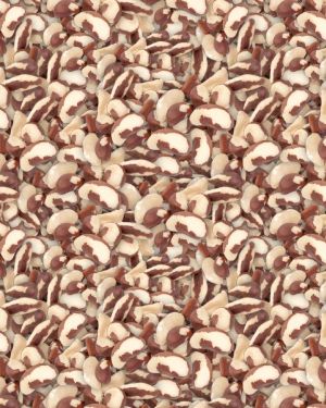Brazil Nuts