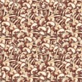 Brazil-Nuts.jpg