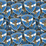 Brescia-Calcio.jpg