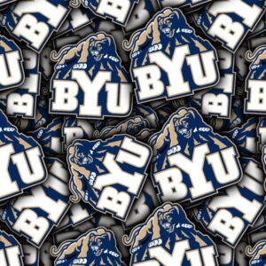 Brigham Young University