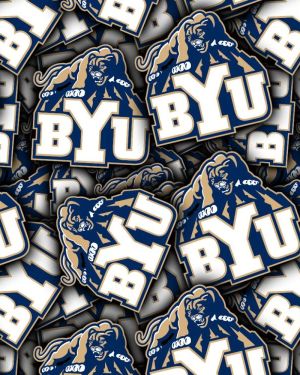 Brigham Young University