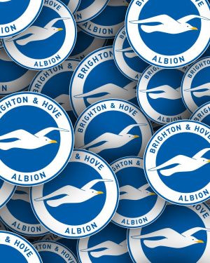 Brighton & Hove Albion FC