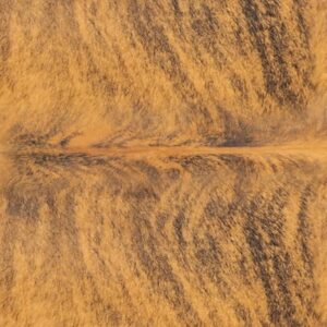 Brindle Cowhide 22