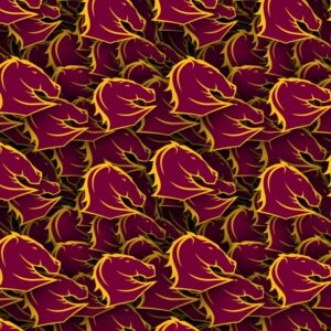 Brisbane Broncos