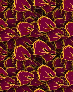 Brisbane Broncos