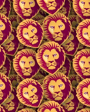 Brisbane Lions