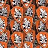 Brisbane-Roar-FC.jpg