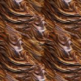 BristleCone-Pine-Bark-22.jpg