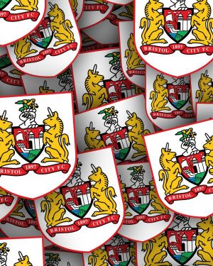 Bristol City FC