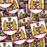 Bristol-City-FC.jpg