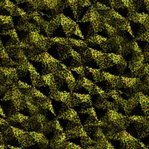 Broken Polygons 22
