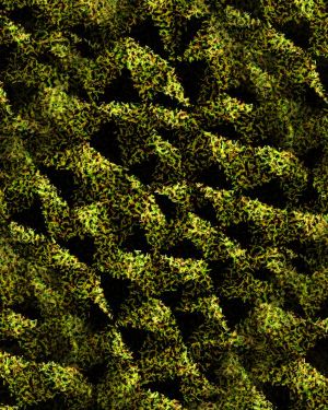 Broken Polygons 22