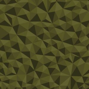 Broken Polygons 23
