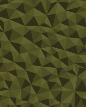 Broken Polygons 23