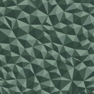 Broken Polygons 24