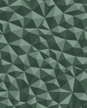 Broken Polygons 24