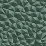 Broken-Polygons-24.jpg