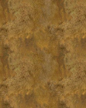 Bronze Metal Texture