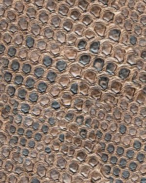 Brown Crocodile Skin 23