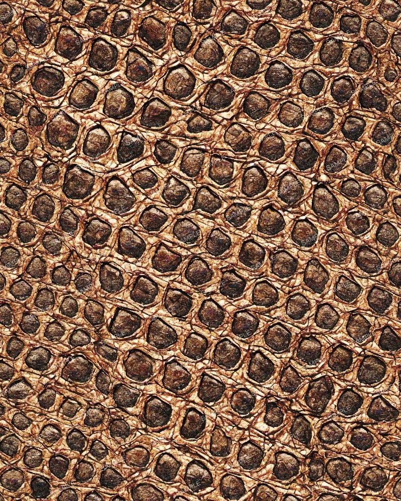 Brown Crocodile Skin 24