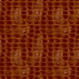 Brown-Crocodile.jpg