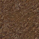 Brown-Grizzly-Bear-Fur-23-1.jpg