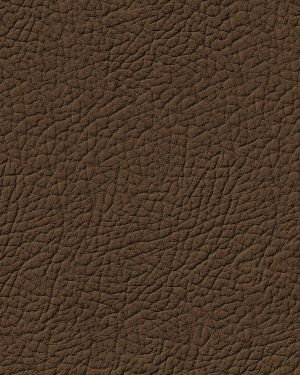 Brown Leather 23
