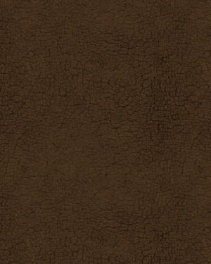 Brown Leather