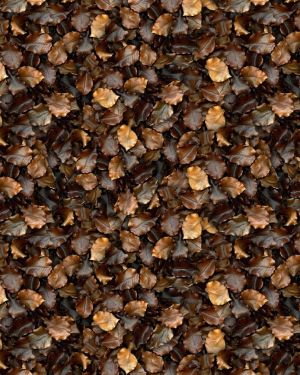 Brown Leaves 22