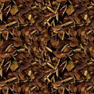 Brown Leaves 23