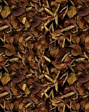 Brown Leaves 23