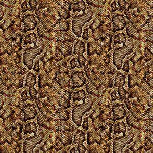 Brown Python Snake Skin