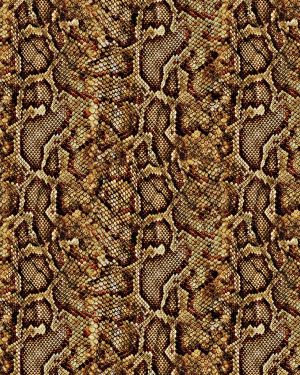 Brown Python Snake Skin