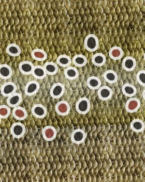 Brown Trout Scales