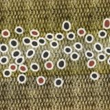 Brown-Trout-Scales-thumb.jpg