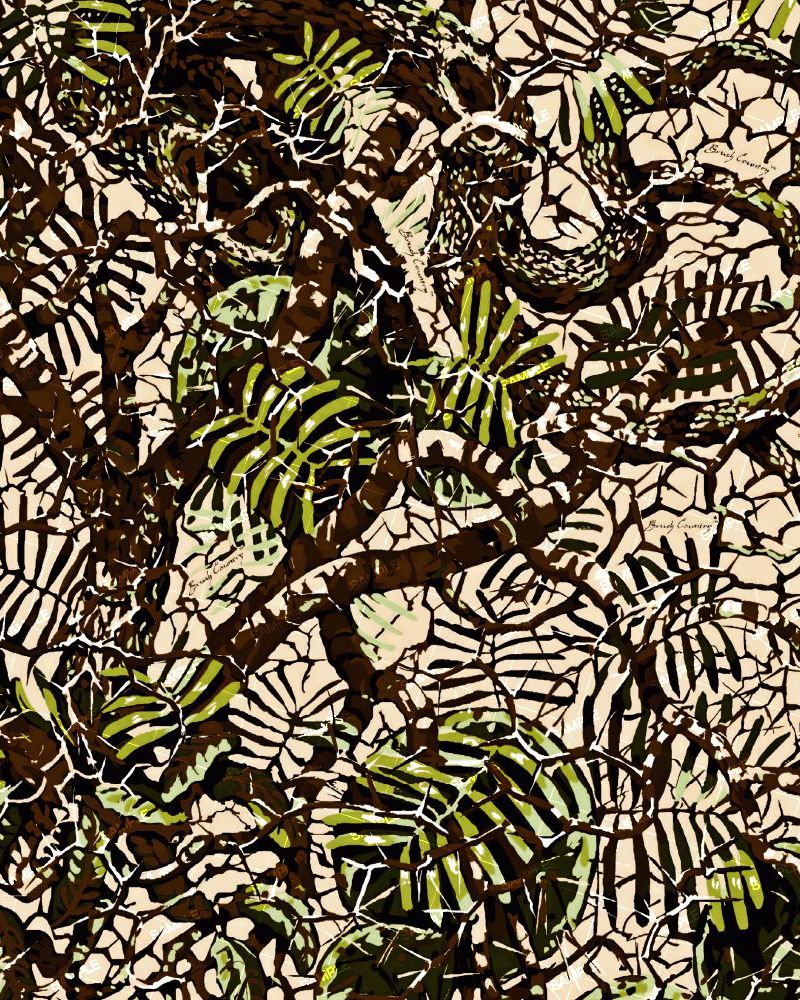 Brush Country Canyon Camouflage