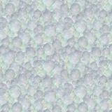 Bubbles-22.jpg