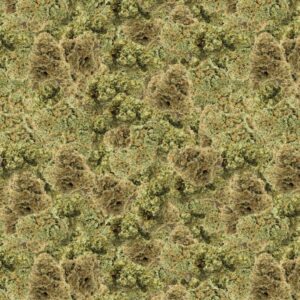 Bud 22 Camouflage