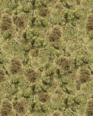Bud 22 Camouflage