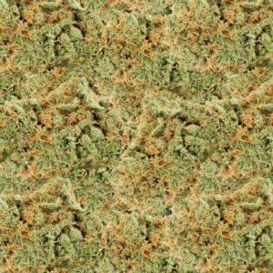 Bud 24 Camouflage
