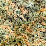 Bud-26-Camouflage-1.jpg