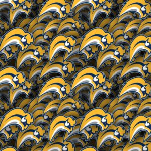 Buffalo Sabres 22