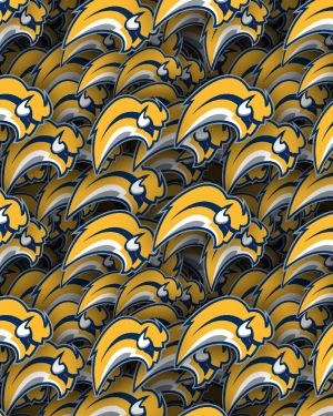 Buffalo Sabres 22